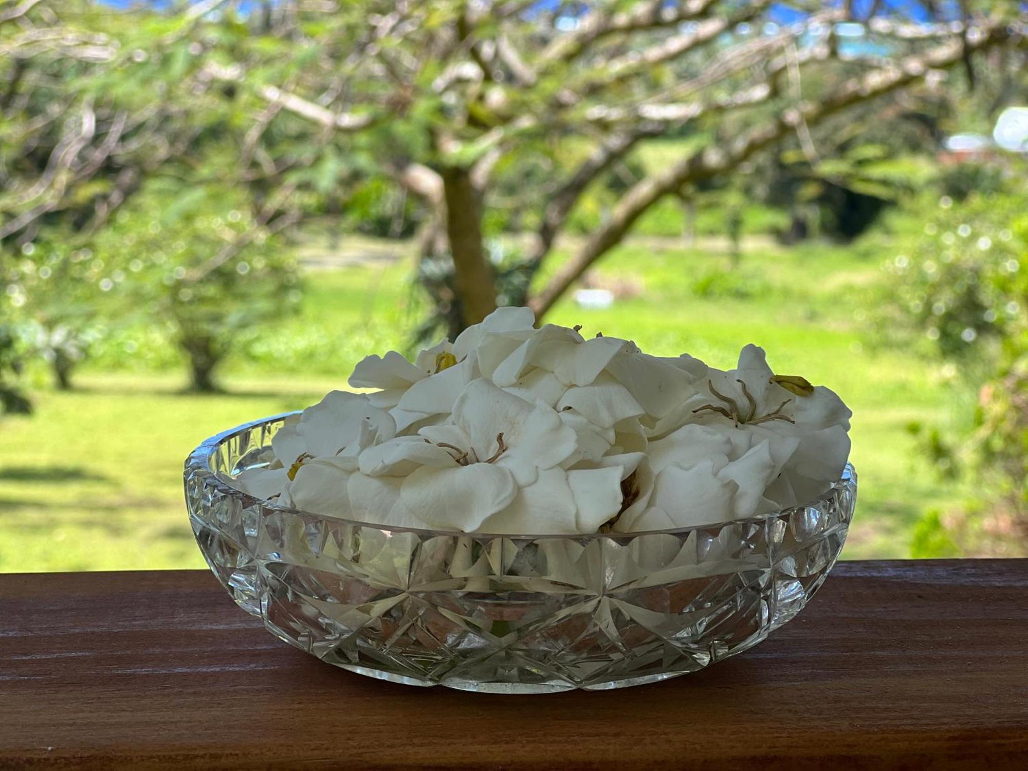 라로통가 Avocado Retreat 빌라 외부 사진